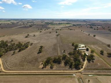 Lifestyle For Sale - NSW - Deniliquin - 2710 - 'Mungery' Deniliquin NSW 40.02Ha - 98.89Ac  (Image 2)