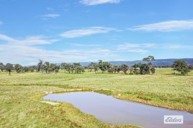 Other (Rural) For Sale - VIC - Dawson - 3858 - Land in the right location  (Image 2)