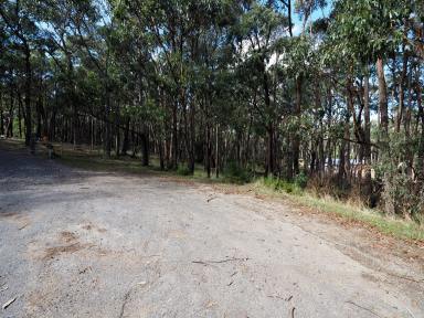 Residential Block For Sale - VIC - Dales Creek - 3341 - 1.01HA (2.5 Acres) Development Opportunity Not to Be Missed  (Image 2)