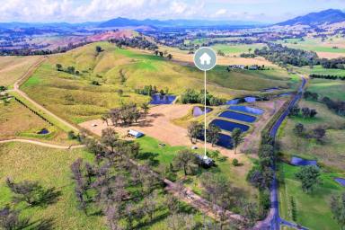 Acreage/Semi-rural Sold - NSW - Gloucester - 2422 - King Of Kia Ora!  (Image 2)