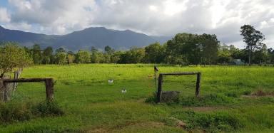 Residential Block Sold - QLD - Carruchan - 4816 - Vacant rural block with two street frontage & lovely mountain views  (Image 2)