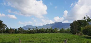Residential Block Sold - QLD - Carruchan - 4816 - Vacant rural block with two street frontage & lovely mountain views  (Image 2)