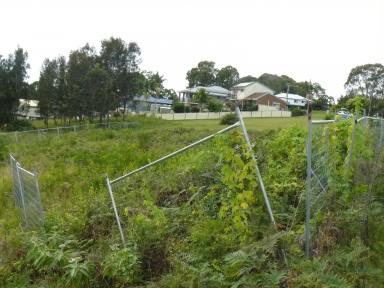 Residential Block For Sale - NSW - Coomba Park - 2428 - PERFECT BLANK CANVAS FOR YOUR DREAM HOME  (Image 2)