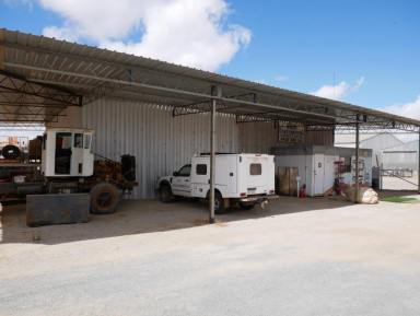 Business For Sale - WA - Wagin - 6315 - Outstanding business opportunity  (Image 2)