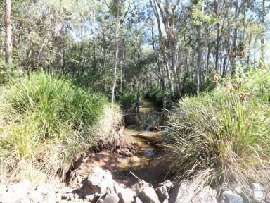 Horticulture For Sale - QLD - Redridge - 4660 - MASSIVE HORTICULTURE OPPORTUNITY  (Image 2)