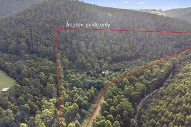 Residential Block For Sale - TAS - Kellevie - 7176 - Secluded acreage, less than 10 minutes drive to beaches with bonus extras for getaways.  (Image 2)