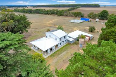 Lifestyle For Sale - VIC - Myamyn - 3304 - RARE SIZED CENTRALLY SITUATED SMALL FARM  (Image 2)