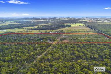 Acreage/Semi-rural For Sale - QLD - Walligan - 4655 - EXTRAORDINARY OPPORTUNITY - 39.5 ACRES JUST 7 MINUTES FROM HERVEY BAY AND RIGHT BY THE BEACH! THE PERFECT DEVELOPMENT PROPERTY!  (Image 2)