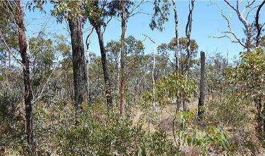 Residential Block Sold - QLD - Millstream - 4888 - High in the Hills Private 11 acres  (Image 2)