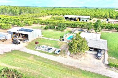 House Sold - QLD - Horseshoe Lagoon - 4809 - RURAL RETREAT - Block House - Large  Shed on 7.48Acres  (Image 2)