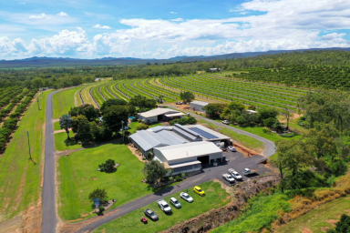 Commercial Farming For Sale - QLD - Arriga - 4880 - PARADISE ORCHARDS | GOING CONCERN | ATTRACTIVE RETURN  (Image 2)