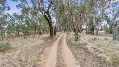 Other (Rural) For Sale - VIC - Avenel - 3664 - Land on the Outskirts of Avenel  (Image 2)