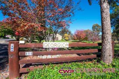 Lifestyle For Sale - NSW - Glen Innes - 2370 - 3 Bedroom Home on 15 Acres  (Image 2)