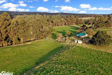 Farmlet For Sale - VIC - Woodside North - 3874 - COUNTRY LIVING WITH 9.7 ACRES NEAR THE BRUTHEN CREEK  (Image 2)