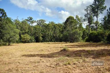 Residential Block Sold - QLD - Glenwood - 4570 - LARGE BLOCK WITH CREEK TO BOUNDARY!  (Image 2)