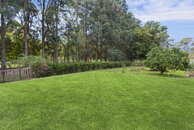 House For Sale - NSW - Jamberoo - 2533 - Rare Opportunity - over half an acre in the Jamberoo township!!  (Image 2)
