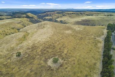 Lifestyle For Sale - VIC - Myrniong - 3341 - STUNNING BACCHUS MARSH DISTRICT PROPERTY  (Image 2)