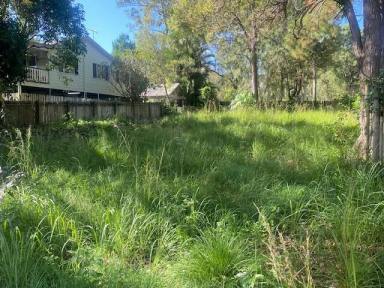Residential Block Sold - QLD - Macleay Island - 4184 - Cleared Block  (Image 2)