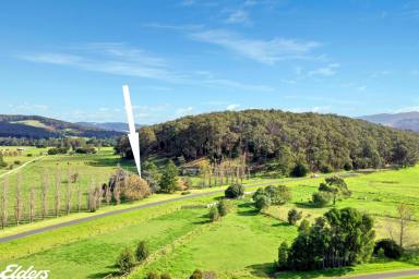 Other (Rural) Sold - VIC - Calrossie - 3971 - "BRAESIDE" - IN A LUSH FERTILE VALLEY  (Image 2)