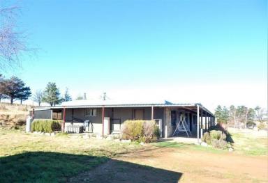 Acreage/Semi-rural Sold - New South Wales - Cooma - 2630 - 4 Bedroom House – 144 Acres – Strong Infrastructure  (Image 2)