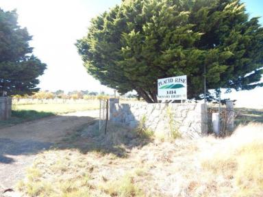 Acreage/Semi-rural Sold - New South Wales - Cooma - 2630 - 4 Bedroom House – 144 Acres – Strong Infrastructure  (Image 2)