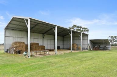 Farmlet For Sale - NSW - Quipolly - 2343 - FARMER RETIRING - TURNKEY OPPORTUNITY - PRODUCTION POWERHOUSE  (Image 2)