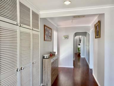 House For Sale - VIC - Maryborough - 3465 - Maryborough character in a bright and shiny move in package!  (Image 2)