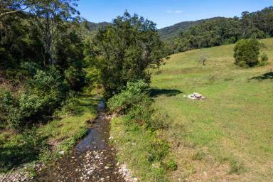 House For Sale - NSW - Upper Orara - 2450 - NEW PRICE / PARADISE FOUND - RARE 100 ACRES WITH THREE HOMES  (Image 2)