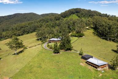 House For Sale - NSW - Upper Orara - 2450 - NEW PRICE / PARADISE FOUND - RARE 100 ACRES WITH THREE HOMES  (Image 2)