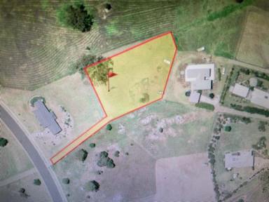 Residential Block For Sale - NSW - Bega - 2550 - WOW A 3/4 ACRE BUILDING BLOCK IN GLEN MIA  (Image 2)