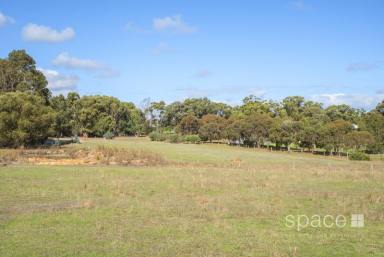 Residential Block Sold - WA - Margaret River - 6285 - TWO PROPOSED 1 HA LOTS  (Image 2)