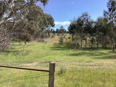 Lifestyle For Sale - VIC - Evansford - 3371 - 16ha (approx. 40 acres); RLZ; Ideal Homesite: Scattered trees; Suitable for Subdivision STCA  (Image 2)