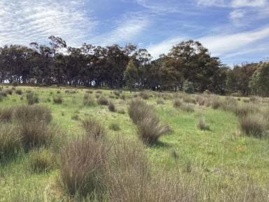 Lifestyle For Sale - VIC - Evansford - 3371 - 8ha (approx. 20 acres); RLZ; Ideal Homesite; Scattered trees; Suitable for Subdivision STCA  (Image 2)