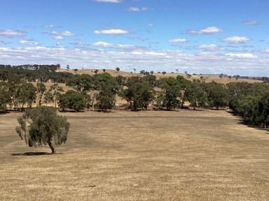 Lifestyle For Sale - VIC - Waterloo - 3373 - 7.8 ha (approx. 19.5 acres): R.C. Zone: Elevated Homesite (STCA); Dam; Scattered Trees  (Image 2)
