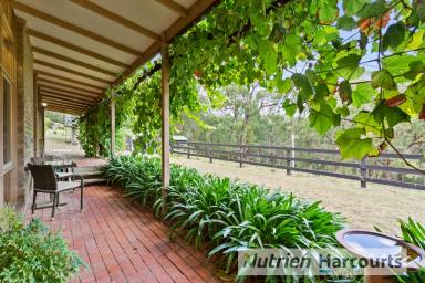 Lifestyle Sold - VIC - Pakenham Upper - 3810 - AS THEY SAY, LOCATION IS EVERYTHING  (Image 2)