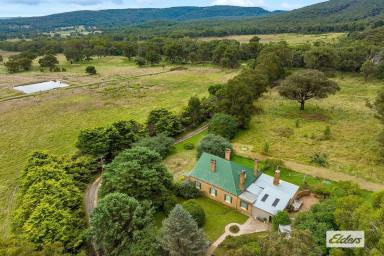 Lifestyle Sold - NSW - Goulburn - 2580 - Falconwood Homestead at Goulburn  (Image 2)