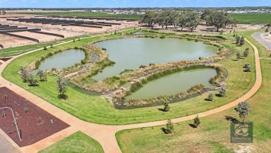 Residential Block For Sale - NSW - Moama - 2731 - Stage 7 The Range - Enjoy A Healthy and Vibrant Lifestyle  (Image 2)