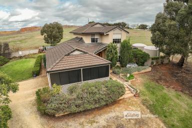 House For Sale - SA - Naracoorte - 5271 - Two Storey North Facing Home On 2.2ha  (Image 2)