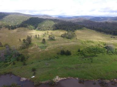 Livestock For Sale - NSW - Tabulam - 2469 - 942 ACRES - 8 x ALLOTMENTS  (Image 2)