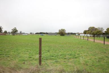 Lifestyle For Sale - VIC - Rochester - 3561 - TRANSPORTABLE CABIN ON APPROX 12 ACRES - IDEAL FOR HORSE OWNERS  (Image 2)