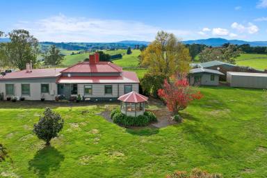 Other (Rural) For Sale - VIC - Neerim East - 3831 - Escape the city and marvel at the spectacular Views  (Image 2)