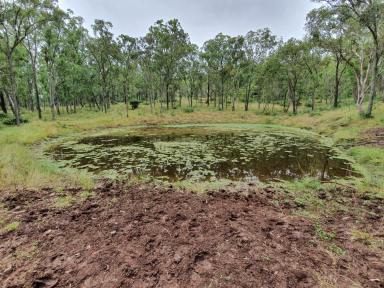 Lifestyle Sold - QLD - Pimpimbudgee - 4615 - 410 ACRES , ACCESS TO BUNYA MT FORESTRY- BUSHY BLOCK  (Image 2)
