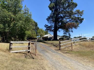 Acreage/Semi-rural For Sale - VIC - Bunyip - 3815 - A Big Slice of Country Life....  (Image 2)