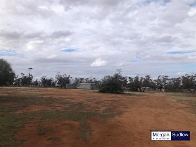 Mixed Farming Sold - WA - South Trayning - 6488 - GREAT EXPANSION OR INVESTOR OPPORTUNITY - 'MINNIBERRI' - PROPERTY IN TRAYNING SOUTH AREA  (Image 2)