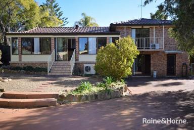 House Leased - NSW - North Nowra - 2541 - Located in a fantastic street in North Nowra close to the Shoalhaven River  (Image 2)