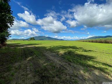 Cropping For Sale - QLD - East Feluga - 4854 - APPROX. 71 ACRES CURRENTLY UNDER CANE  (Image 2)