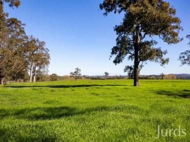 Other (Rural) Sold - NSW - Paterson - 2421 - ORANGE GROVE  (Image 2)