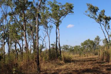 Residential Block Sold - NT - Batchelor - 0845 - 60+ Acres just waiting for you and only 10 minutes to Batchelor  (Image 2)