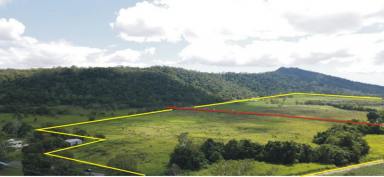 Cropping For Sale - QLD - Bemerside - 4850 - CANE FARM & CATTLE PROPERTY - BEST OF BOTH WORLDS !  (Image 2)