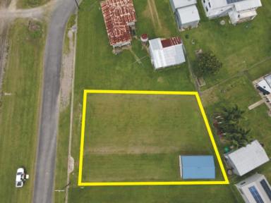 Residential Block For Sale - QLD - Trebonne - 4850 - BLOCK OF LAND WITH SHED - ROOM FOR YOUR HOUSE !  (Image 2)